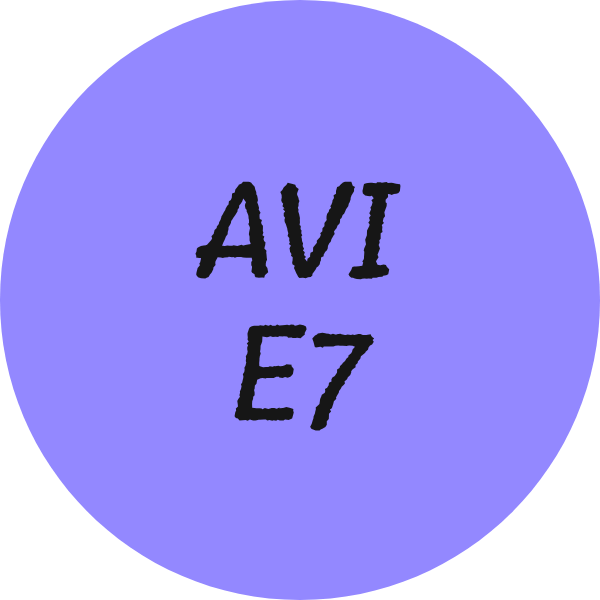 Kinderboeken op leesniveau AVI-E7