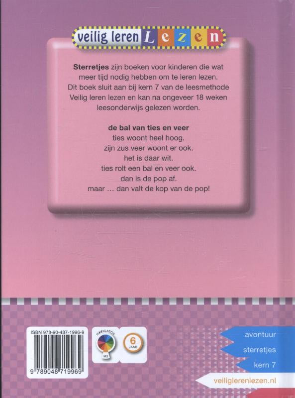 De-bal-van-ties-en-veer-flaptekst-9789048719969