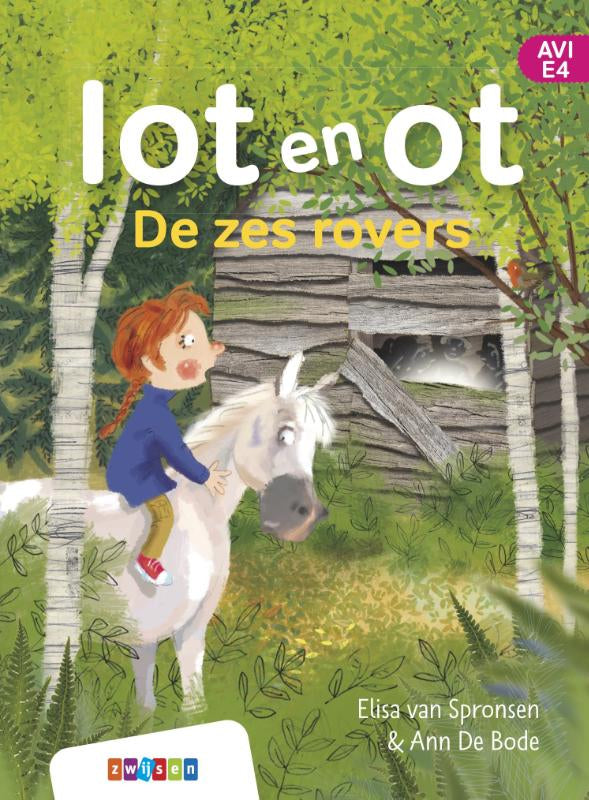 De-zes-rovers-boek-cover-9789048754588
