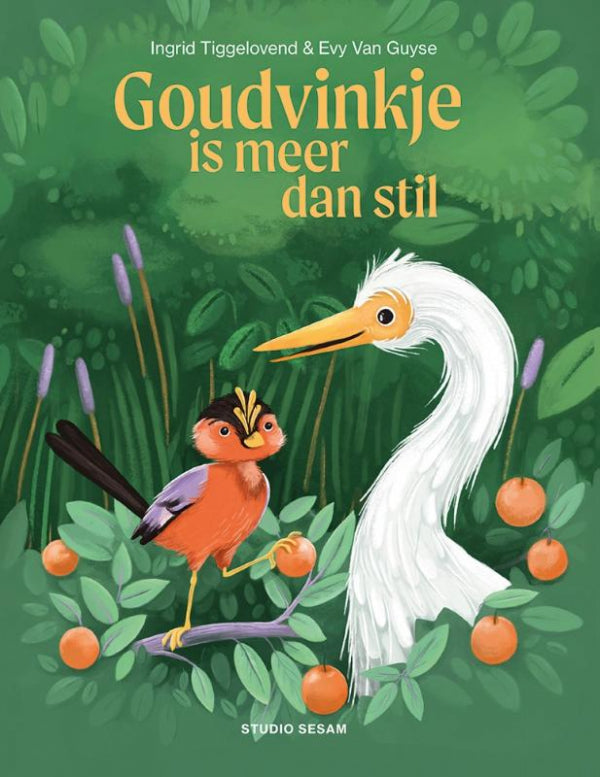 Goudvinkje-is-meer-dan-stil-boek-cover-9789492784346