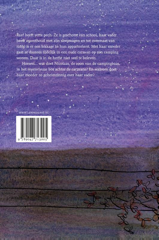 Het-kleine-heelal-flaptekst-9789047713005