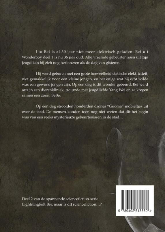 Wonder-Boy-flaptekst-9789492618580