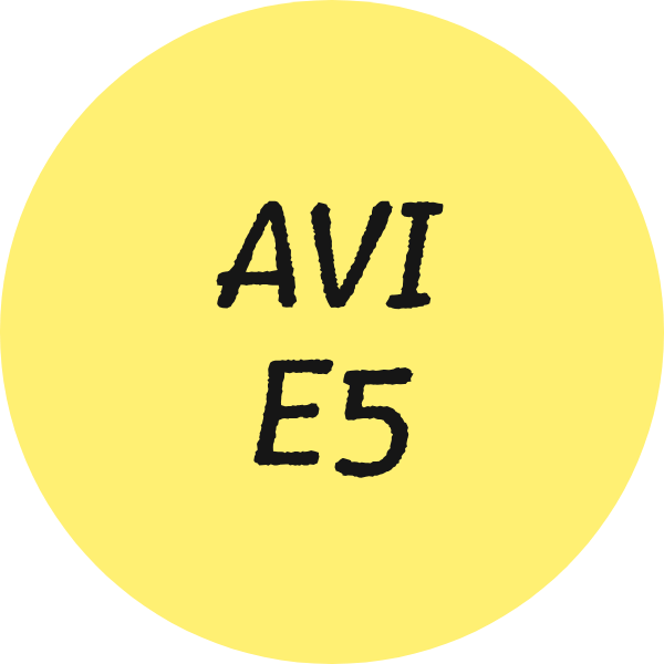 EVI-E5: leesniveau kinderboeken eind groep 5