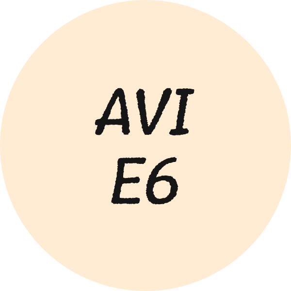 AVI-E6: Leesniveau eind groep 6
