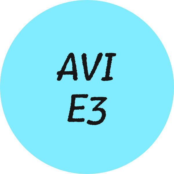 AVI-E3
