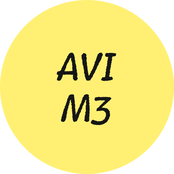 Leesniveau AVI-M3