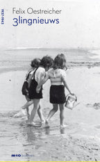3lingnieuws-boek-cover-9789493332010