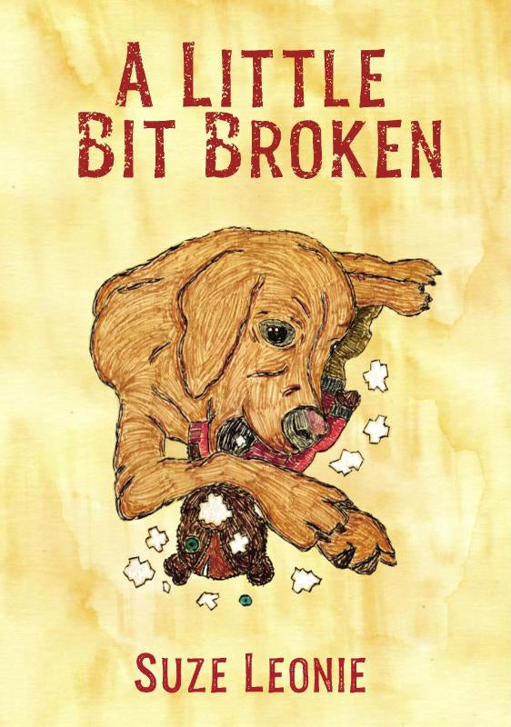 A-Little-Bit-Broken-boek-cover-9781068575990