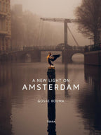 A-New-Light-on-Amsterdam-boek-cover-9789401446341