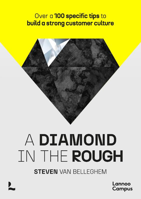 A-diamond-in-the-rough-boek-cover-9789401495462