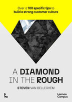 A-diamond-in-the-rough-boek-cover-9789401495462