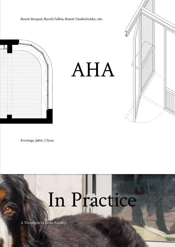 AHA-In-Practice-boek-cover-9789464987379