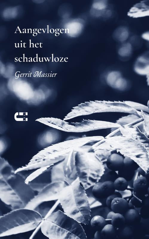 Aangevlogen-uit-het-schaduwloze-boek-cover-9789086843336