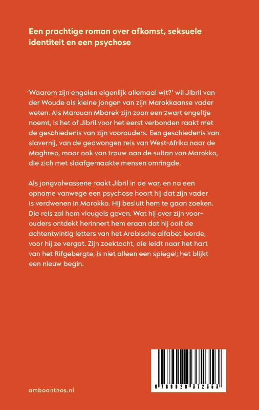 Achtentwintig-letters-flaptekst-9789026372353