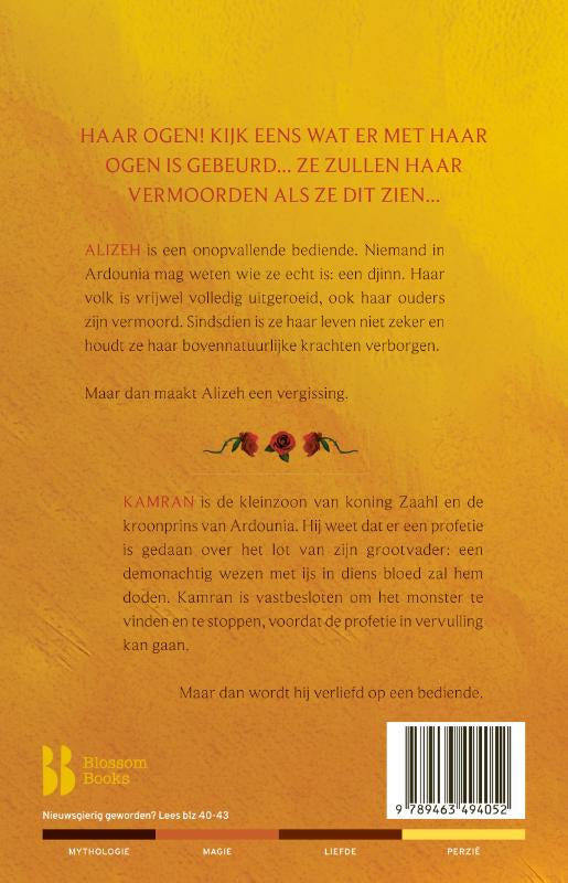 Alizeh-De-duistere-profetie-flaptekst-9789463494052