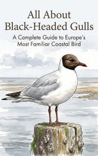 All-About-Black-Headed-Gulls-boek-cover-9789465539157