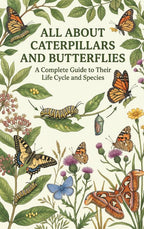 All-About-Caterpillars-and-Butterflies-boek-cover-9789465597683