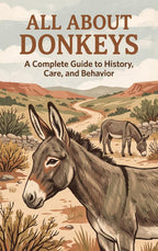 All-About-Donkeys-boek-cover-9789465599151