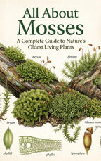All-About-Mosses-boek-cover-9789465539171
