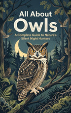 All-About-Owls-boek-cover-9789465597621