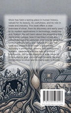 All-About-Silver-flaptekst-9789465598048
