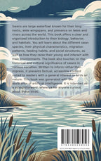 All-About-Swans-flaptekst-9789465598956
