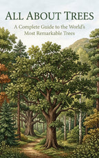 All-About-Trees-boek-cover-9789465585789