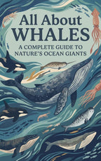 All-About-Whales-boek-cover-9789465595788