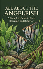 All-About-the-Angelfish-boek-cover-9789465622040