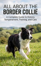 All-About-the-Border-Collie-boek-cover-9789465589374