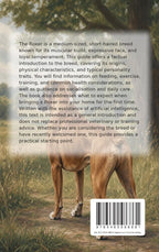 All-About-the-Boxer-flaptekst-9789465586861