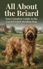All-About-the-Briard-boek-cover-9789465587202