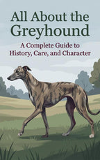 All-About-the-Greyhound-boek-cover-9789465587219