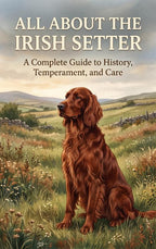 All-About-the-Irish-Setter-boek-cover-9789465587233