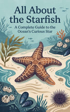 All-About-the-Starfish-boek-cover-9789465622347
