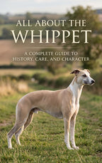 All-About-the-Whippet-boek-cover-9789465586908