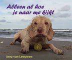 Alleen-al-hoe-je-naar-me-kijkt-boek-cover-9789493240674