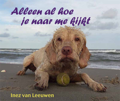 Alleen-al-hoe-je-naar-me-kijkt-boek-cover-9789493240674