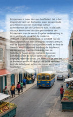 Alles-over-Bridgetown-flaptekst-9789465501116