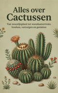 Alles-over-Cactussen-boek-cover-9789465482514