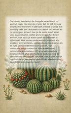 Alles-over-Cactussen-flaptekst-9789465482514