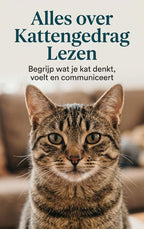Alles-over-Kattengedrag-Lezen-boek-cover-9789465487953