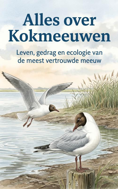 Alles-over-Kokmeeuwen-boek-cover-9789465485904