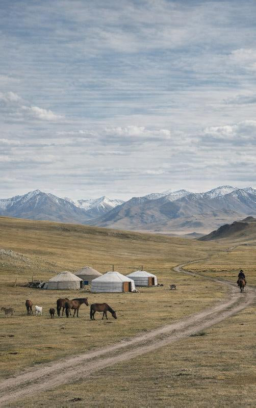 Alles-over-Mongolie-flaptekst-9789465483474