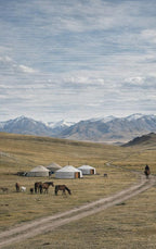Alles-over-Mongolie-flaptekst-9789465483474
