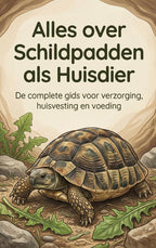 Alles-over-Schildpadden-als-Huisdier-boek-cover-9789465198972