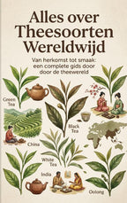 Alles-over-Theesoorten-Wereldwijd-boek-cover-9789465504315