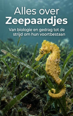 Alles-over-Zeepaardjes-boek-cover-9789465485027
