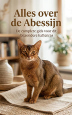 Alles-over-de-Abessijn-boek-cover-9789465196947