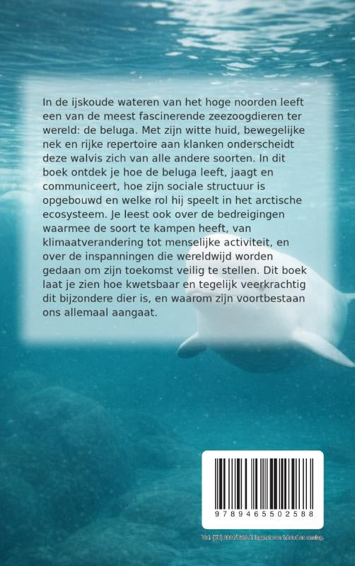 Alles-over-de-Beluga-flaptekst-9789465502588